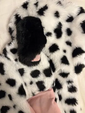 101마리 강아지 머플러 캡 디즈니