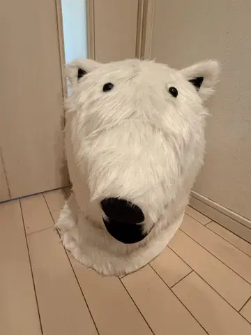 북극곰 인형옷 마스코트 프리 사이즈