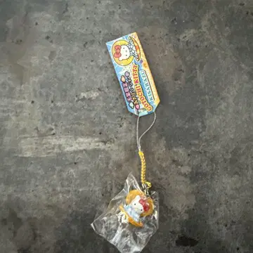 지역 한정 키티 치바 기사라즈 조개