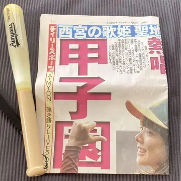 아이묭 고시엔 라이브 응원봉 신문
