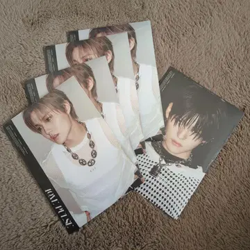 TREASURE LOVE PULSE 포토북 5장 세트