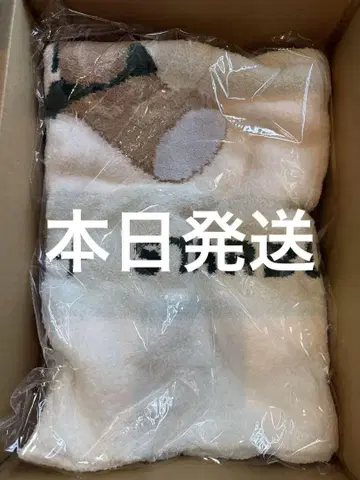 젤라또피케 스벅 곰돌이 담요 젤라또피케 스타벅스