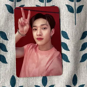 StrayKids maxident 2주차 공개방송 방찬 트레이딩 카드