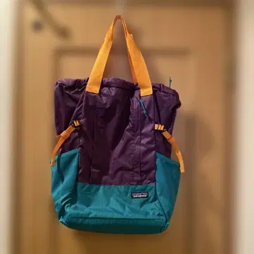 Patagonia 2way 백팩
