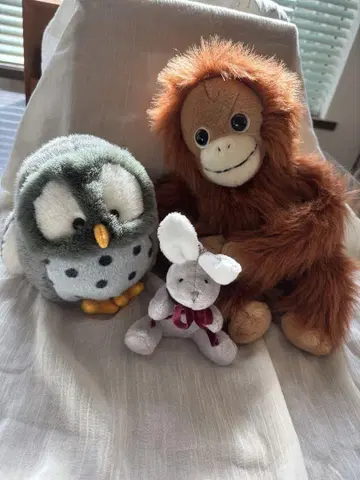 올빼미 오랑우탄 토끼 봉제 인형 세트
