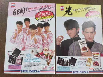 레어! 빛 GENJI 에스키모 전단지 2장 세트 2