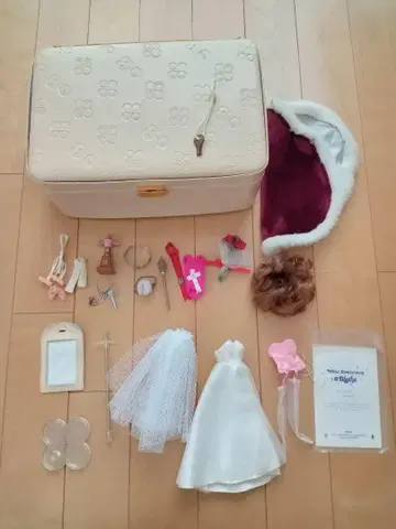 브라이스 미스 기념일 세트 드레스 케이스 티아라