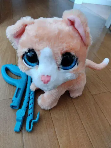 HASBRO 퍼리얼 아기 고양이