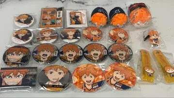 하이큐 히나타 쇼요 굿즈 모음