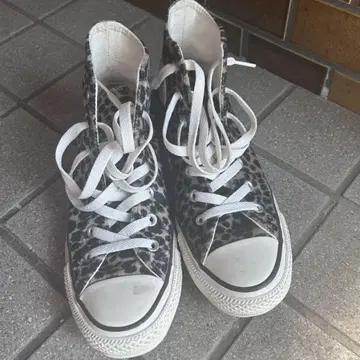 CONVERSE 레오파드 24cm