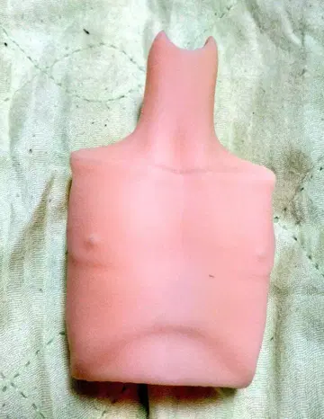MDD 딜러제 남자 가슴 부품 프레쉬 스킨