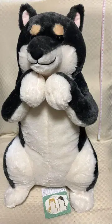 봉제 인형