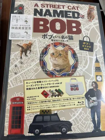 밥이라는 이름의 고양이 행복의 하이 터치 밥과 외출 BOX 한정 세트