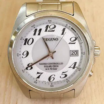 CITIZEN REGUNO 레그노 솔라텍 RS25-0347H