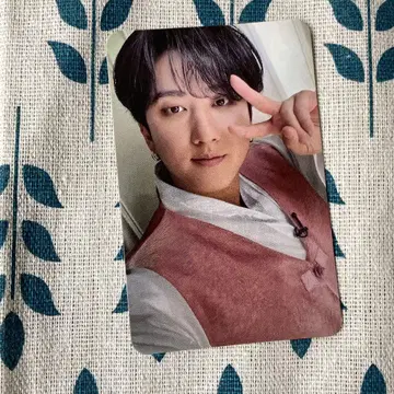 한국 StrayKids MAXIDENT 4회 한정판 찬빈 트레이딩 카드