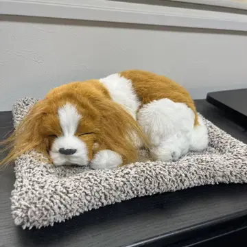 강아지 봉제 인형 캐벌리어