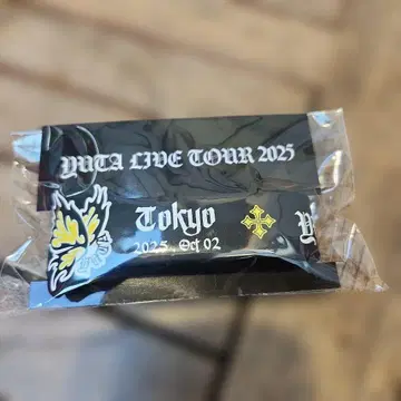 YATA LIVE TOUR 2025 러버 밴드