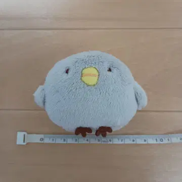 스미코구라시 병아리?