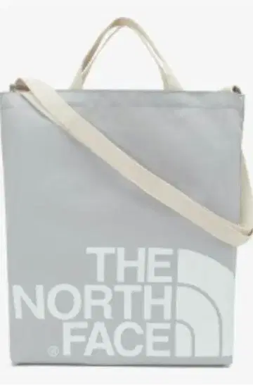 빅 로고 THE NORTH FACE 토트백