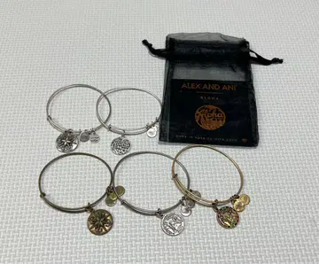 ALEX AND ANI 팔찌 5개 세트