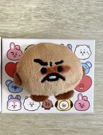 BT21 랜덤 페이스 브로치 SHOOKY TODAY'S FACE