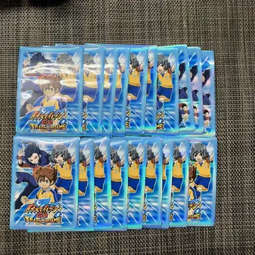 [11월 12일 타임세일] 이나즈마 일레븐 GO 슬리브 19매 세트