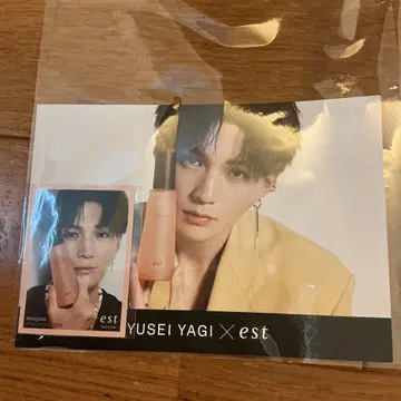 야기 유세이 est 포토 카드 YUSEI YAGI 트레이딩 카드 플라이어