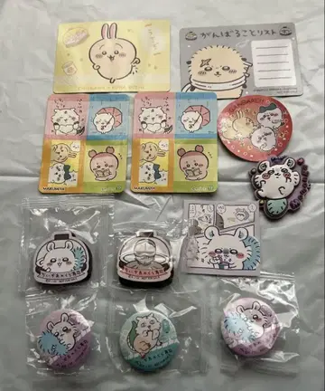 치이카와 세트