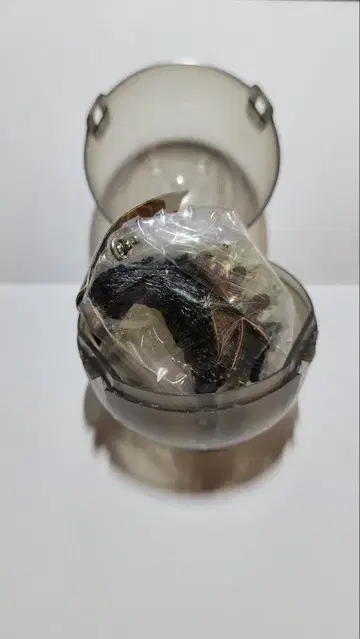 고질라 도호 괴수 기자회견 고질라 미개봉 1