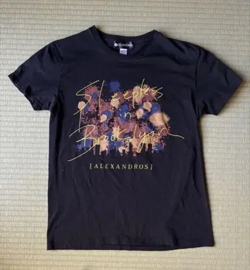 Sleepless in Brooklyn [ALEXANDROS] S