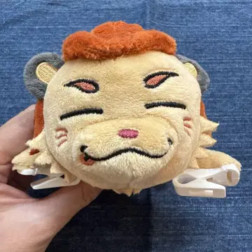 라이지 어깨 탑승 이마이치 류지