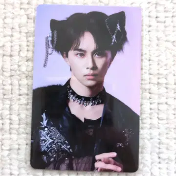 초특급 NINE LIVES 타쿠야 타워 레코드 점포 혜택