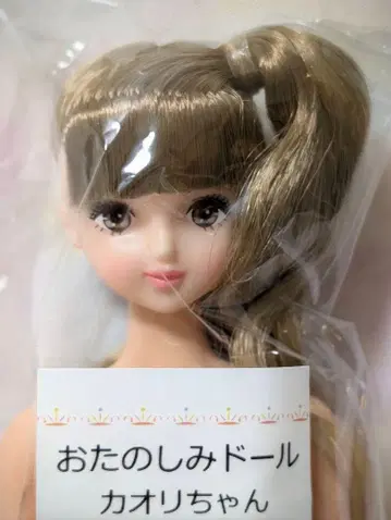 [새상품급] 리카짱 캐슬 오타노시미 인형 카오리짱 리틀팩토리