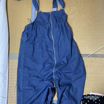렙심 310님 살로펫