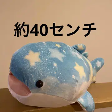월공 진베탄 봉제 인형 진베이 상어