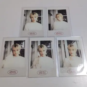 Straykids 시즌 그리팅 폴라로이드 컴프 필릭스