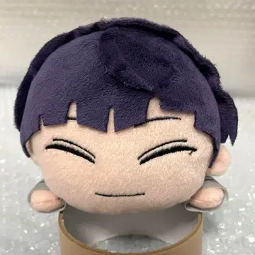 괴수 8호 호시나 소우시로 누워있는 봉제 인형