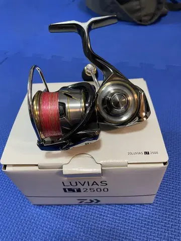 다이와 루비아스 LT 2500 낚시릴과 에기 세트