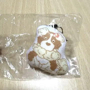 록키요쿠쇼샤이 카리플라워