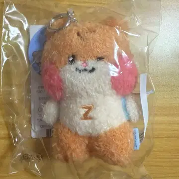 zeroni 비니니 메시지 키링 ZB1 한빈