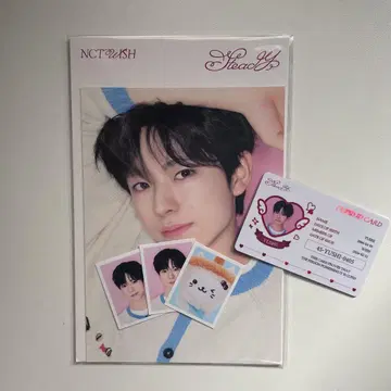 NCT WISH Steady md 유우시