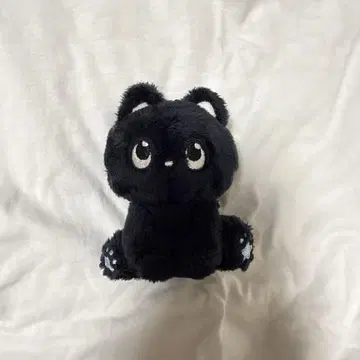 RIIZE 원빈 봉제 인형