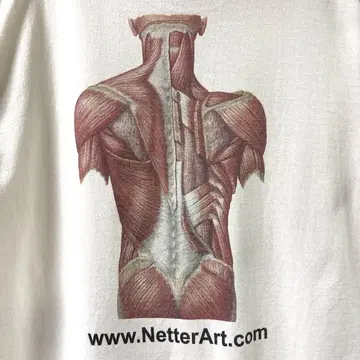 XL 아나토미 anatomical T셔츠 빈티지 인체 해부학