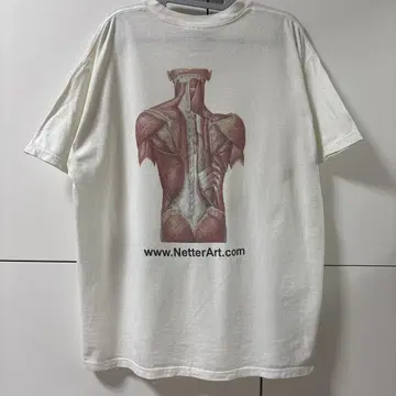 XL 아나토미 anatomical T셔츠 빈티지 인체 해부학