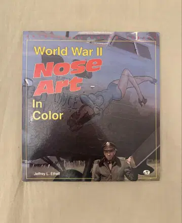 World War II Nose Art In Color