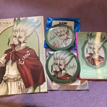 Dr.STONE 이시가미 센쿠 묶음 판매