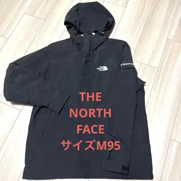 THE NORTH FACE 블랙 마운틴 후드티