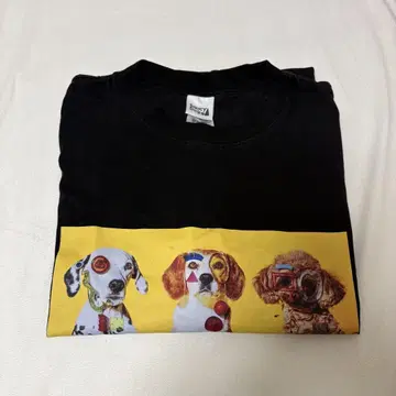 Saucy Dog 셔츠 블랙