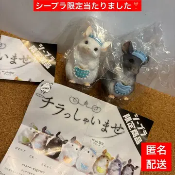 어서 오세요 가챠 긴가무 #C-pla 한정판 시플라 그레이