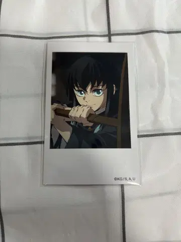 토키토 무이치로 폴라로이드풍 브로마이드 무이치로 귀멸의 칼날